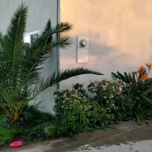 Meet your Posher, Alfonso